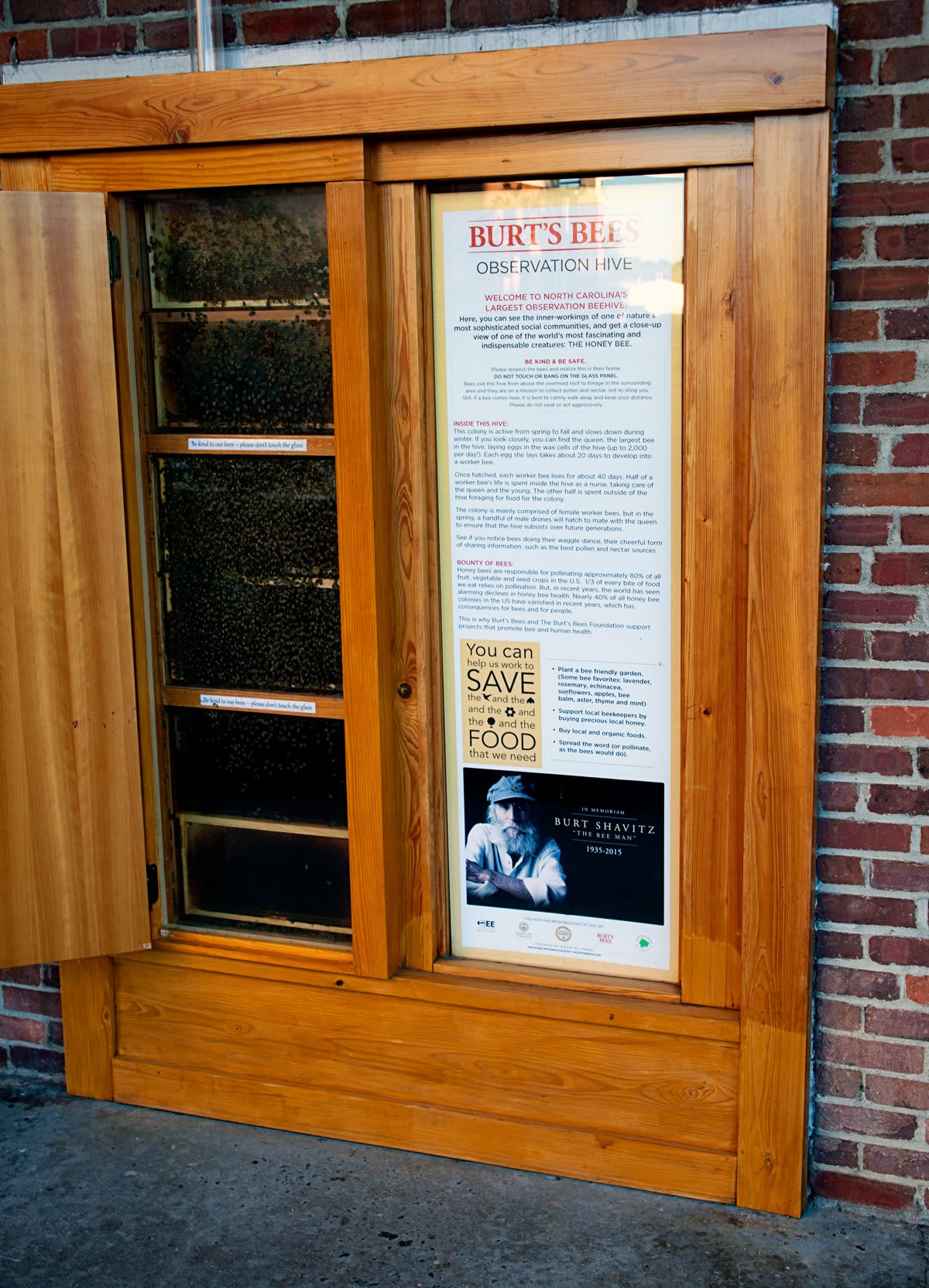 Local Love NEST Magazine