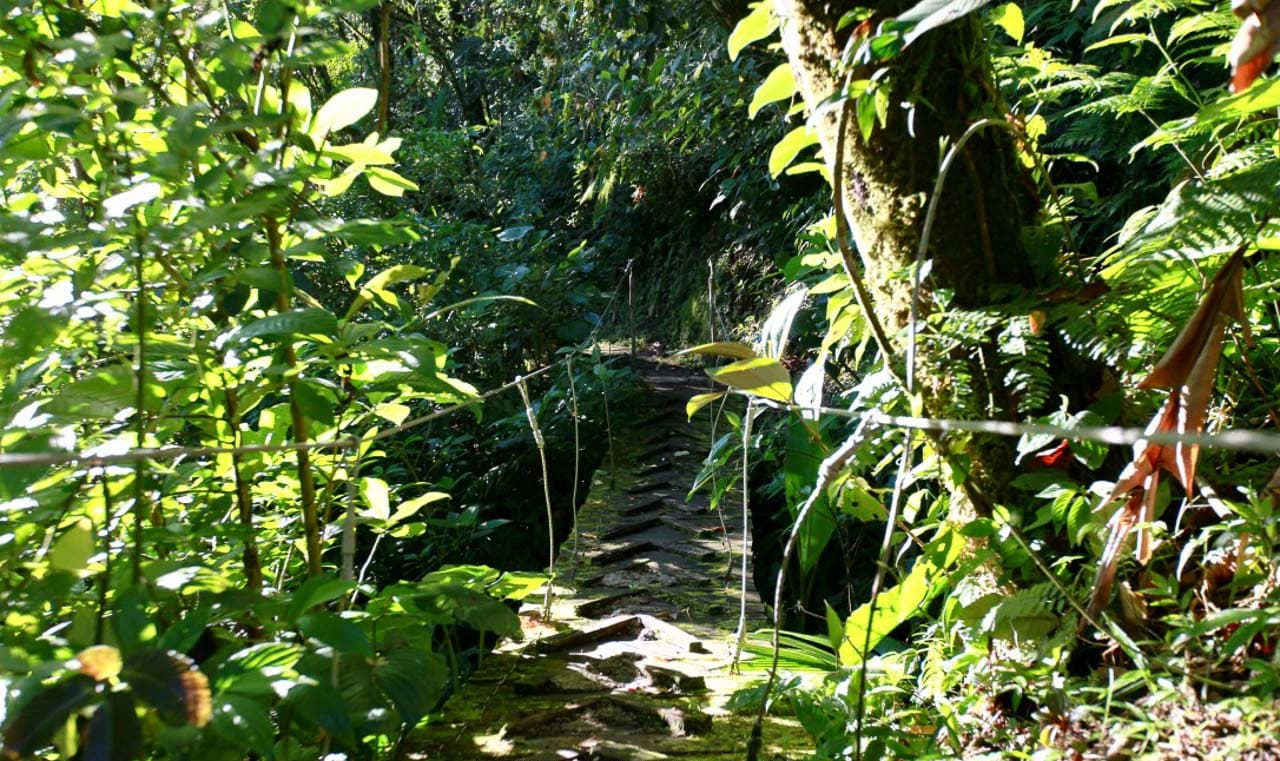 Waterfall Sanctuary with Hiking Trails