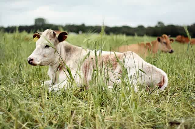 4696878941_627b77e6e8_z