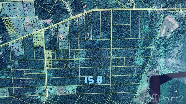 34 acres of prime agricultural land in Belize River Valley