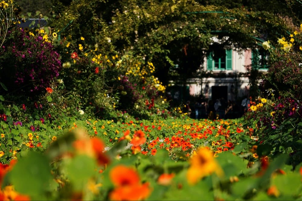 Stroll through the Denver Botanic Gardens