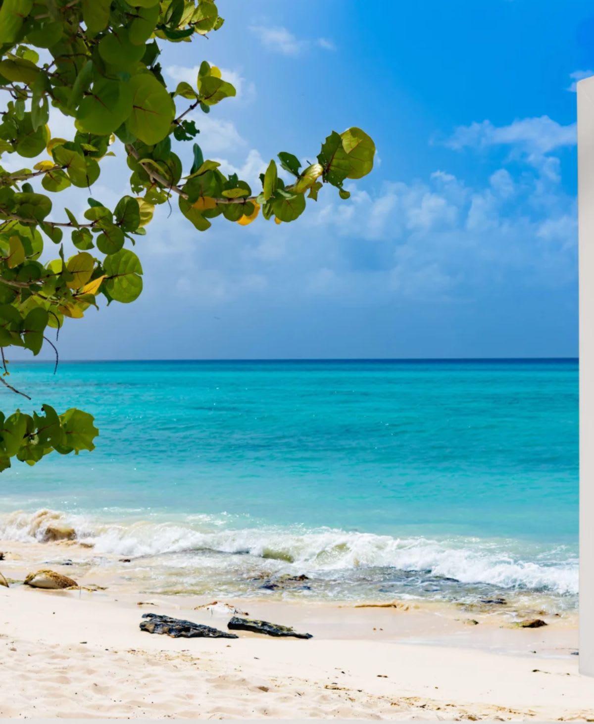 Bold Properties Aruba Luxury Real Estate Specialist Maximizing your