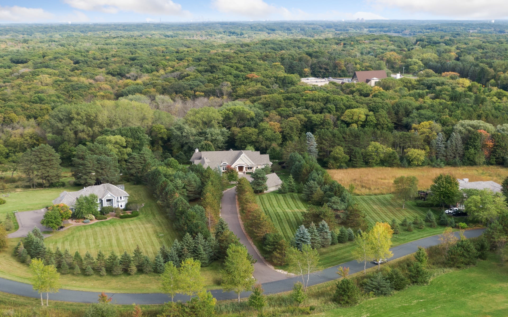 Steadman Team Wayzata Real Estate