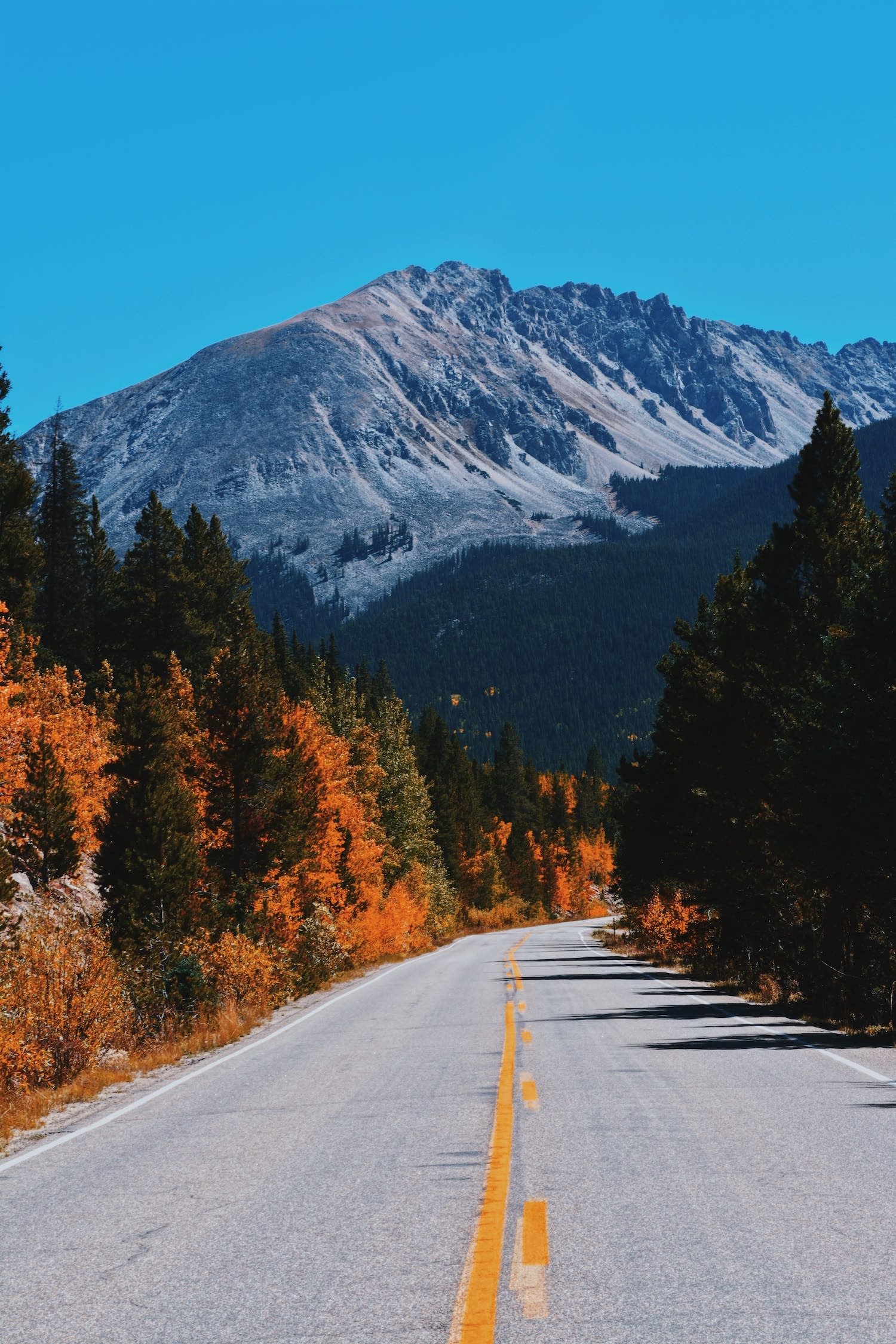 Best Colorado Fall Drives - Independence Pass