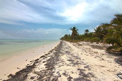 14.88 Acres Beachfront Subdivision on Belize's Southern Coastline