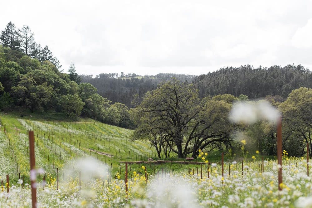 Mayacamas Vineyards and Winery