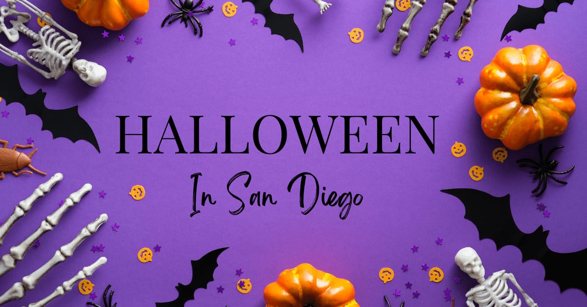 Halloween - San Diego | Velocity Realty
