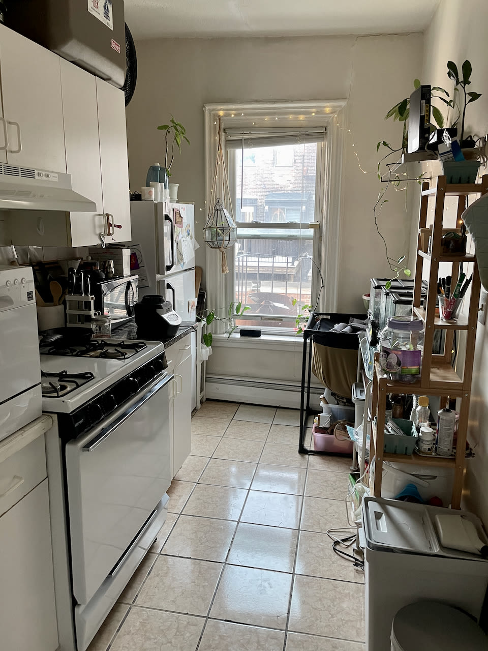 East Springfield 1 bed - Pet Friendly w/ Heat and Hot water included! 