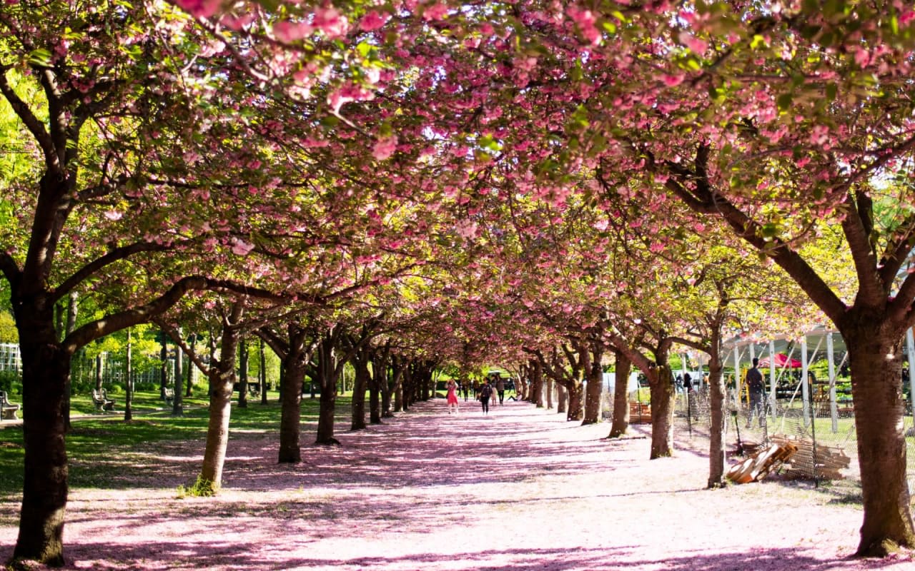 Battery Park City