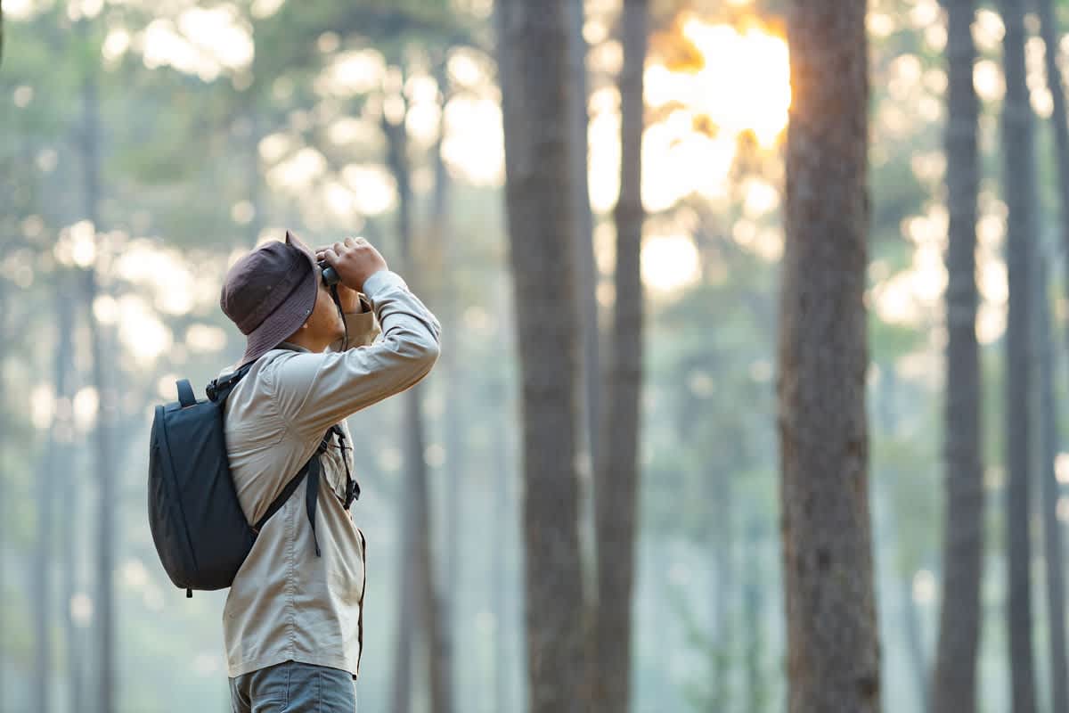 birding