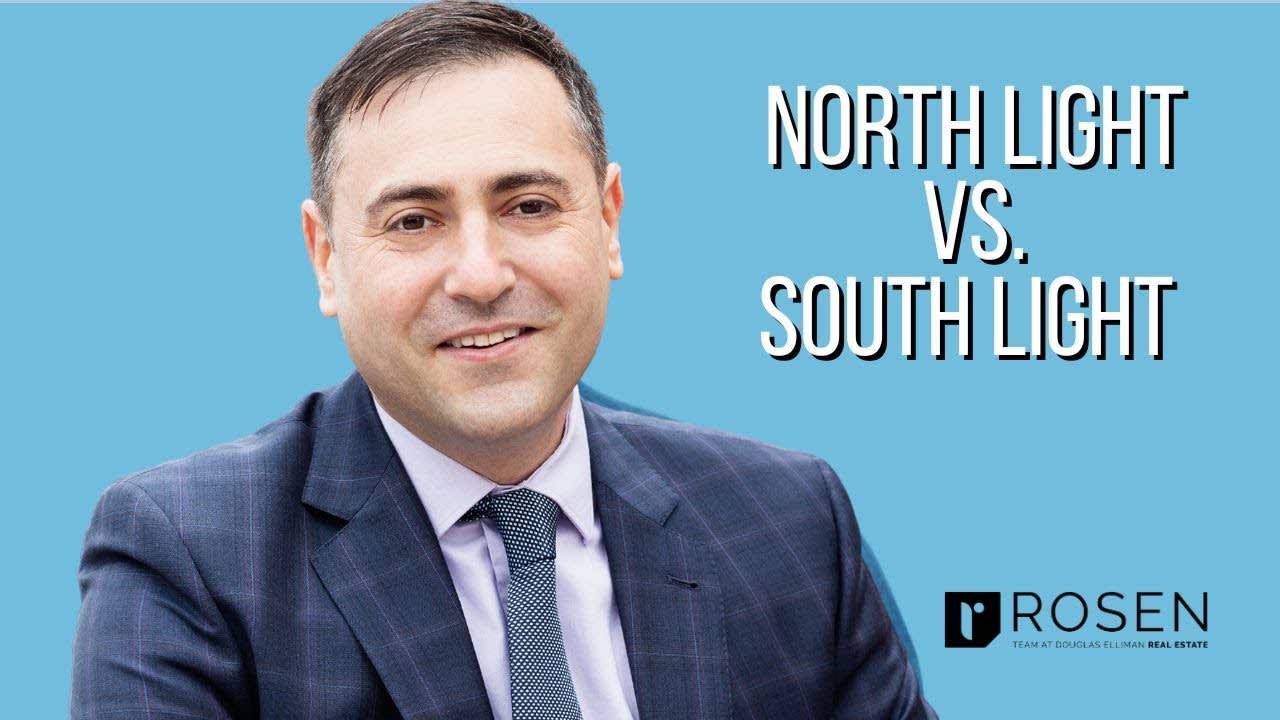 North Light vs South Light