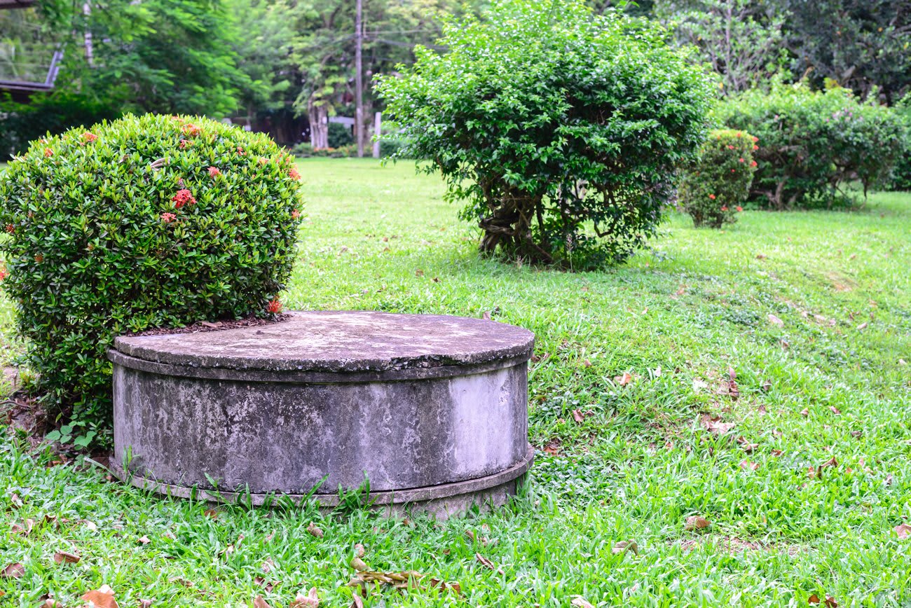 Septic Inspection