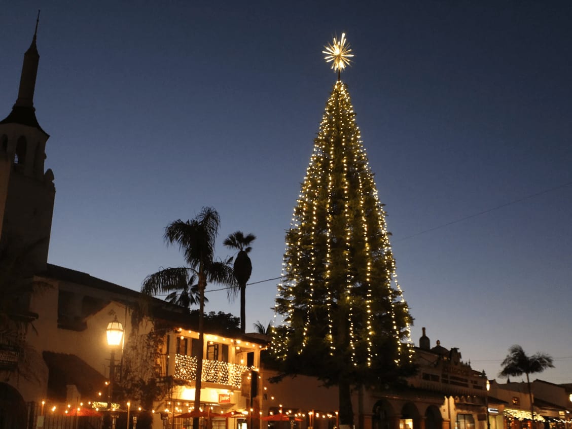 Christmas Tree Lighting DK Group