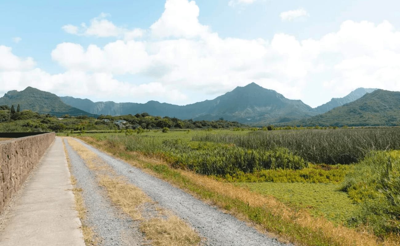 kawainui marsh bike trail