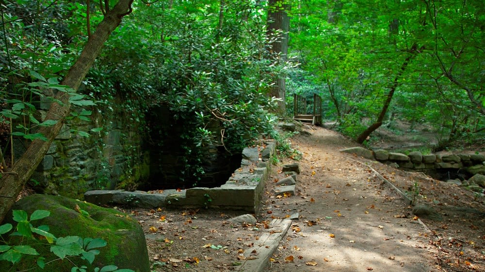 Dumbarton Oaks Park