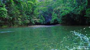 Over 8400 Feet of Stunning River Frontage on the Historic Landmark Sibun River