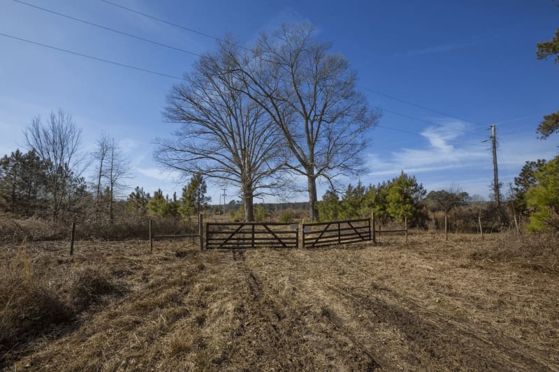 Duck Lease NC Duck Hunting Leases Blog Legacy Farms and Ranches