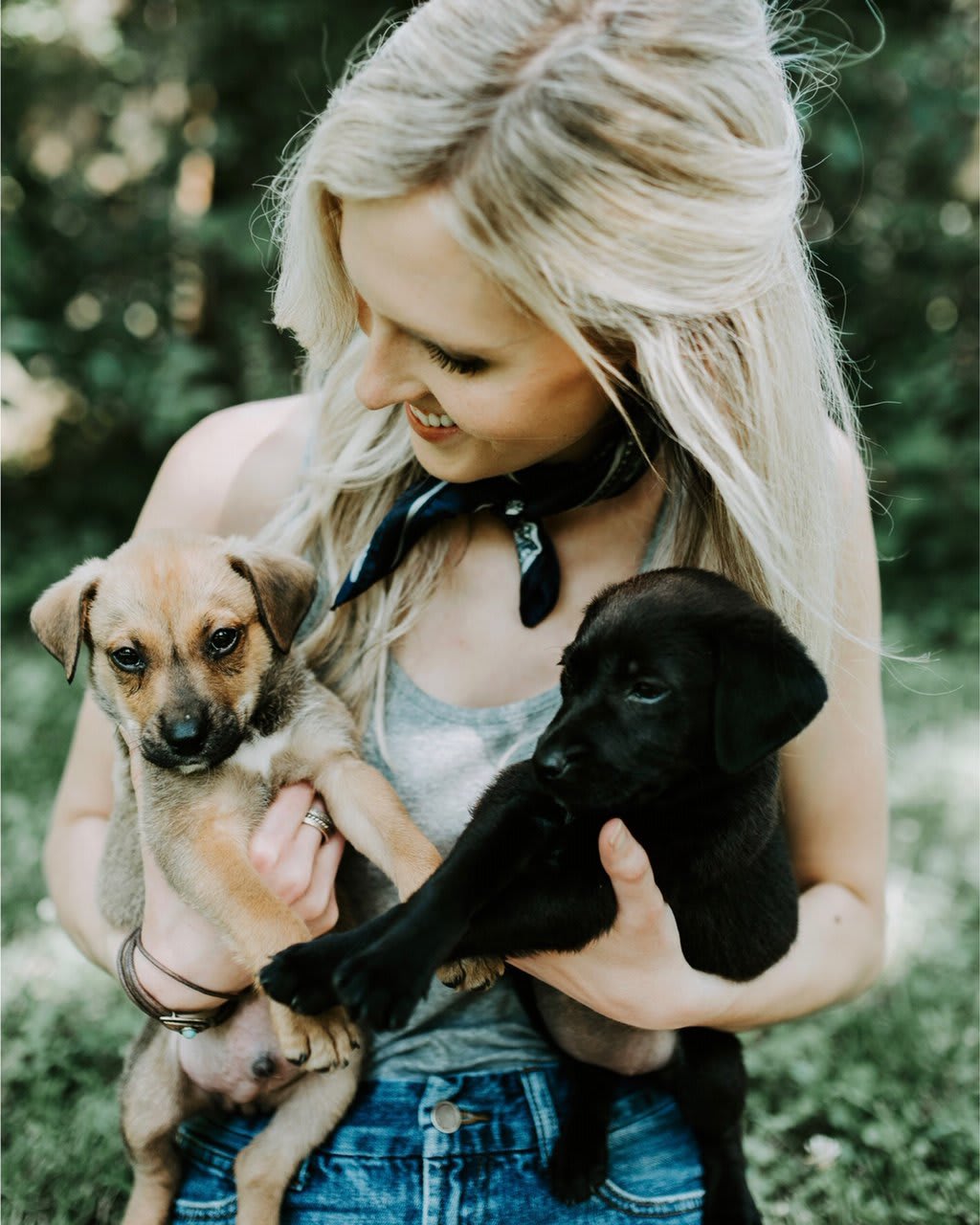 give boldly animal rescue