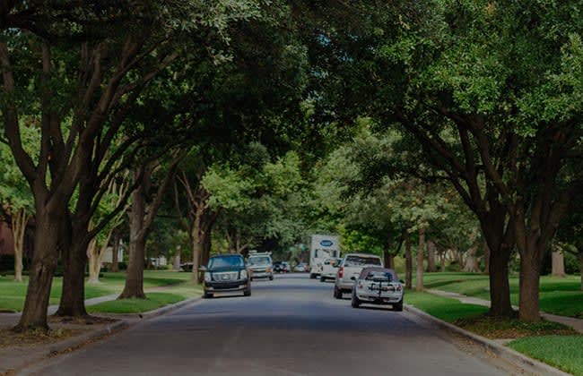 Cars parked down under a tree-lined street in a residential area in Devonshire Dallas