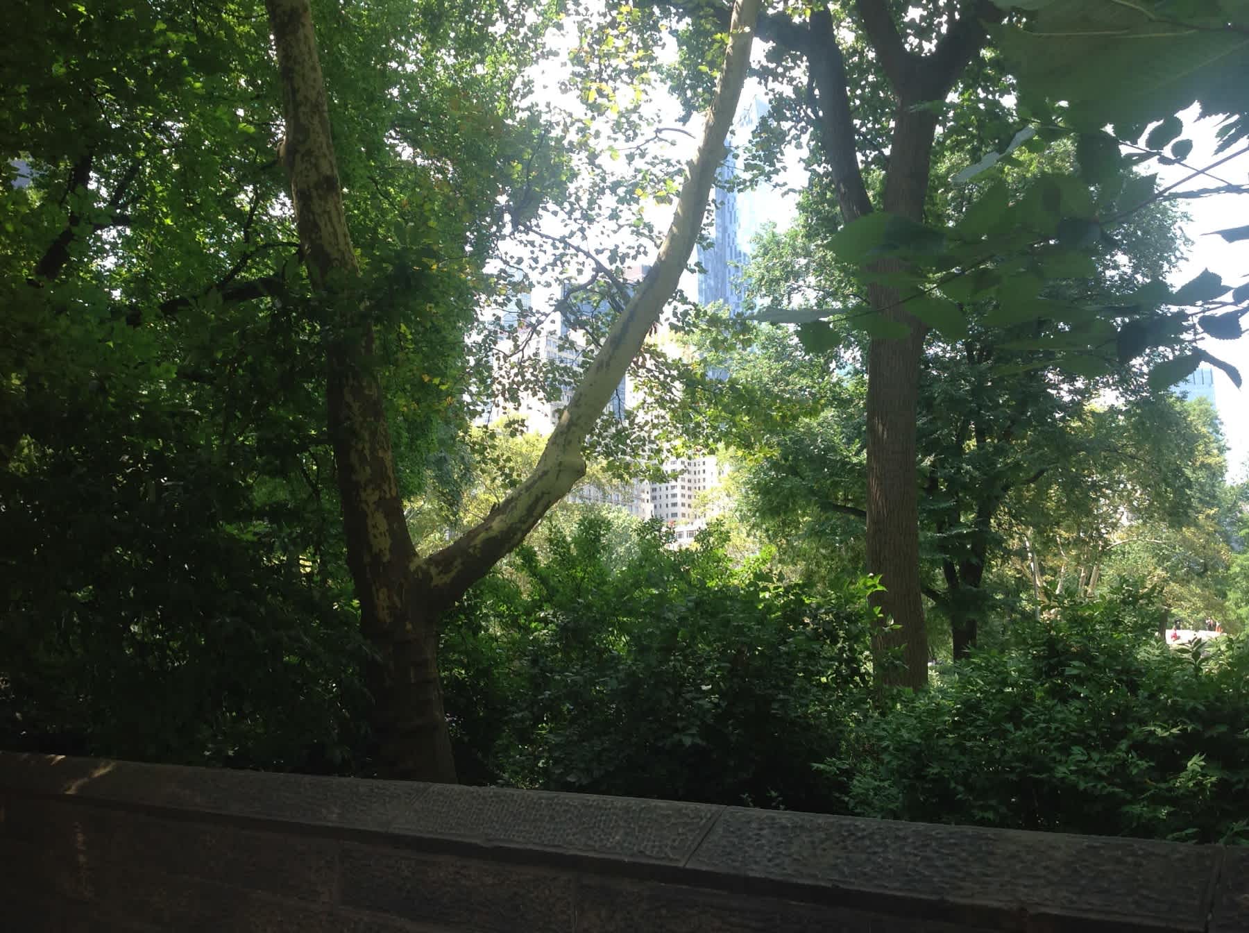 Central Park South