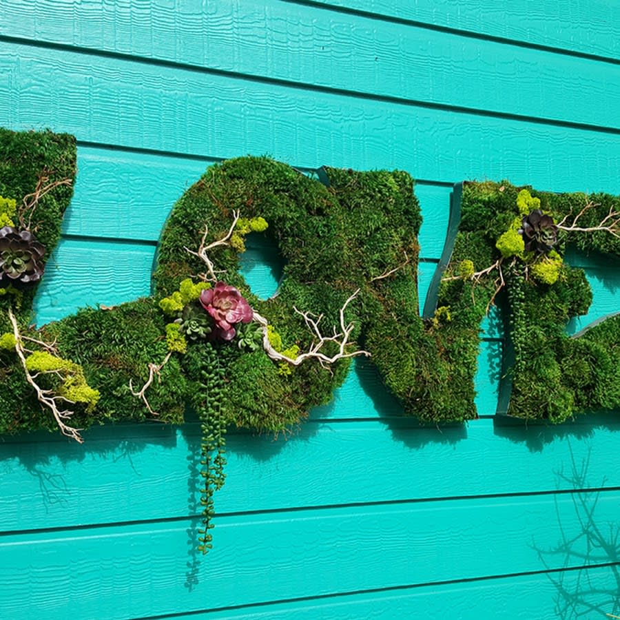 Local Businesses That Rock