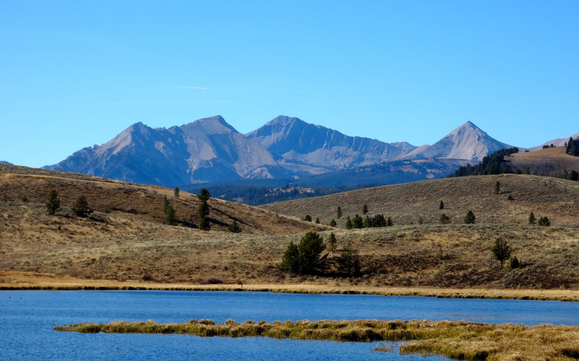 Exclusive Listings Big Sky Real Estate Agent Mia Lennon