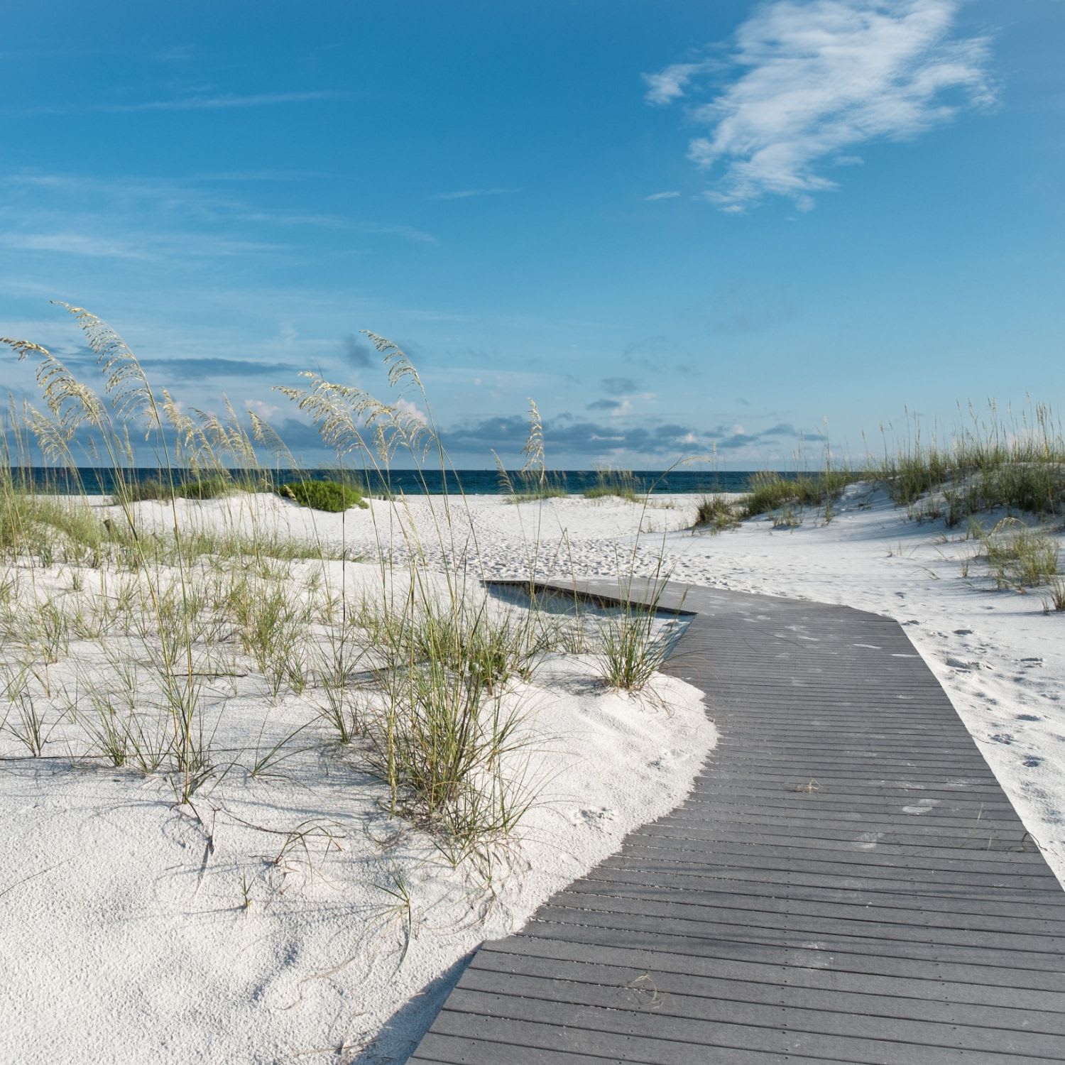The Simpson Group Seagrove Beach Real Estate