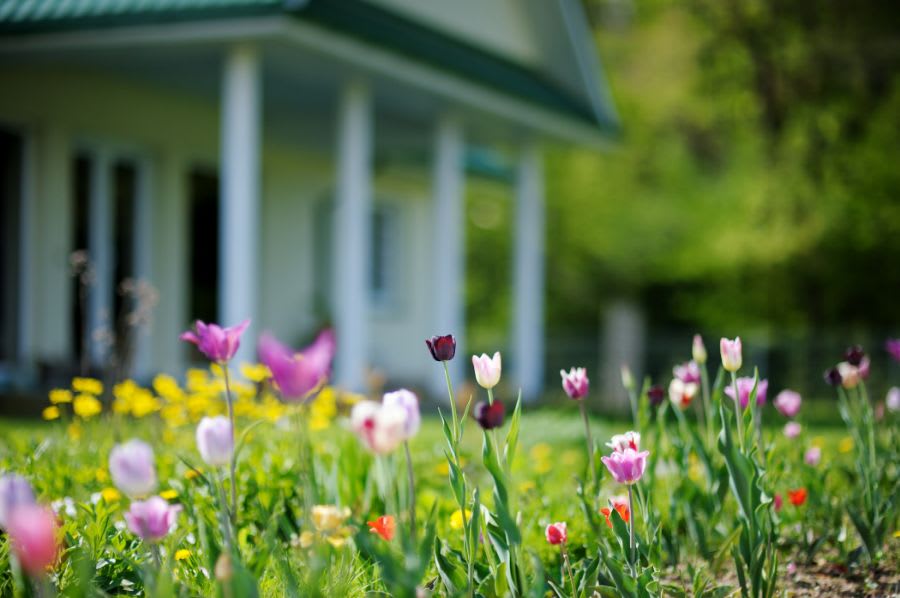 Spring into Homeownership