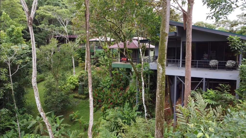 6 Beautiful Tree House Villas and Owners Home on Calle Toucan