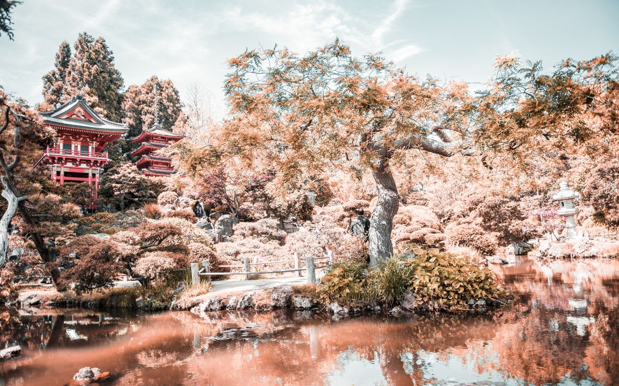 Japanese Tea Garden in Golden Gate Park, San Francisco during the spring. 