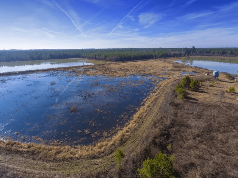 Duck Lease NC Duck Hunting Leases Blog Legacy Farms and Ranches