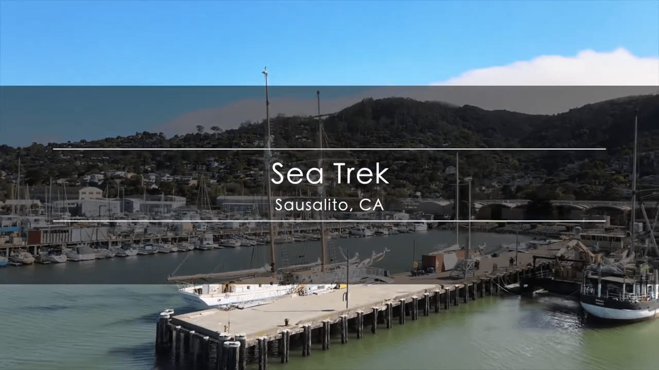 August 2022 Heath Playbook, Tyler Stewart - Sea Trek, Sausalito