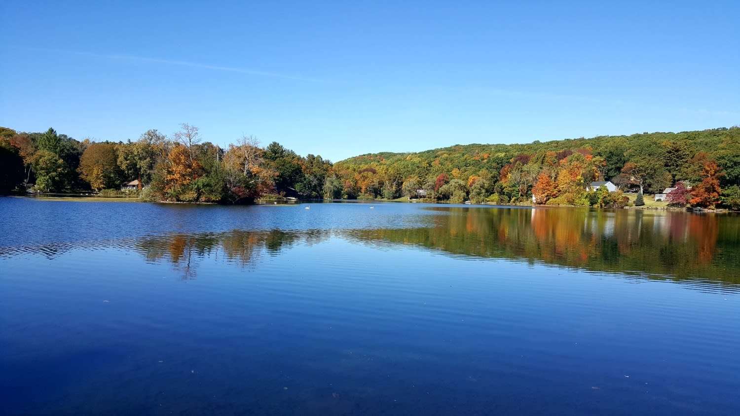 a placid lake in Ridgefield, CT when the leaves have just begun to turn in early autumn/late summer