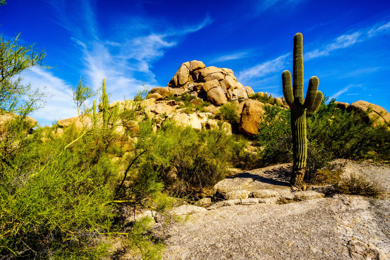 Carefree / Cave Creek Neighborhood Guide