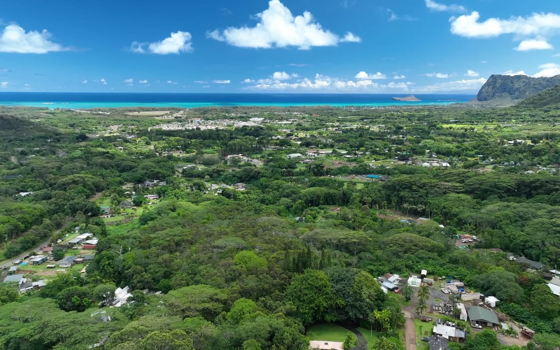 portfolio-jovanna-giannasio-fern-honolulu-real-estate-expert