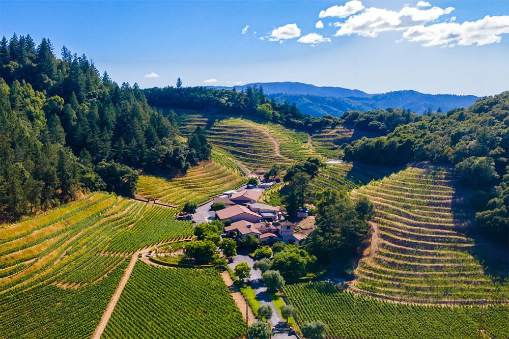 Pine Ridge Vineyards