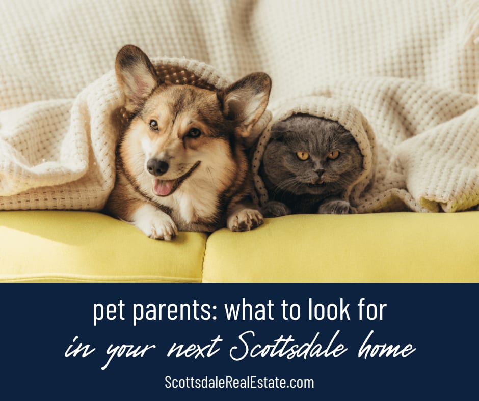 Pet Parents What to Look for in Your Next Home in Scottsdale