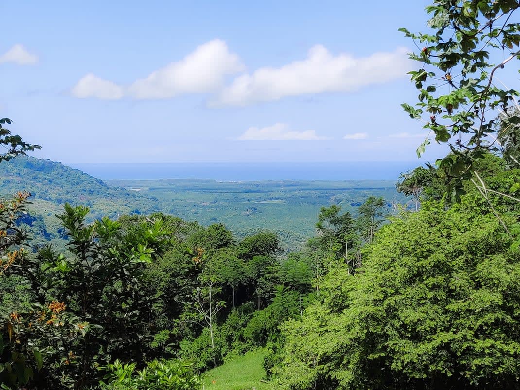 Alma de la Selva, ( Soul of the Forest ) 777 Acre Ocean View Ranch