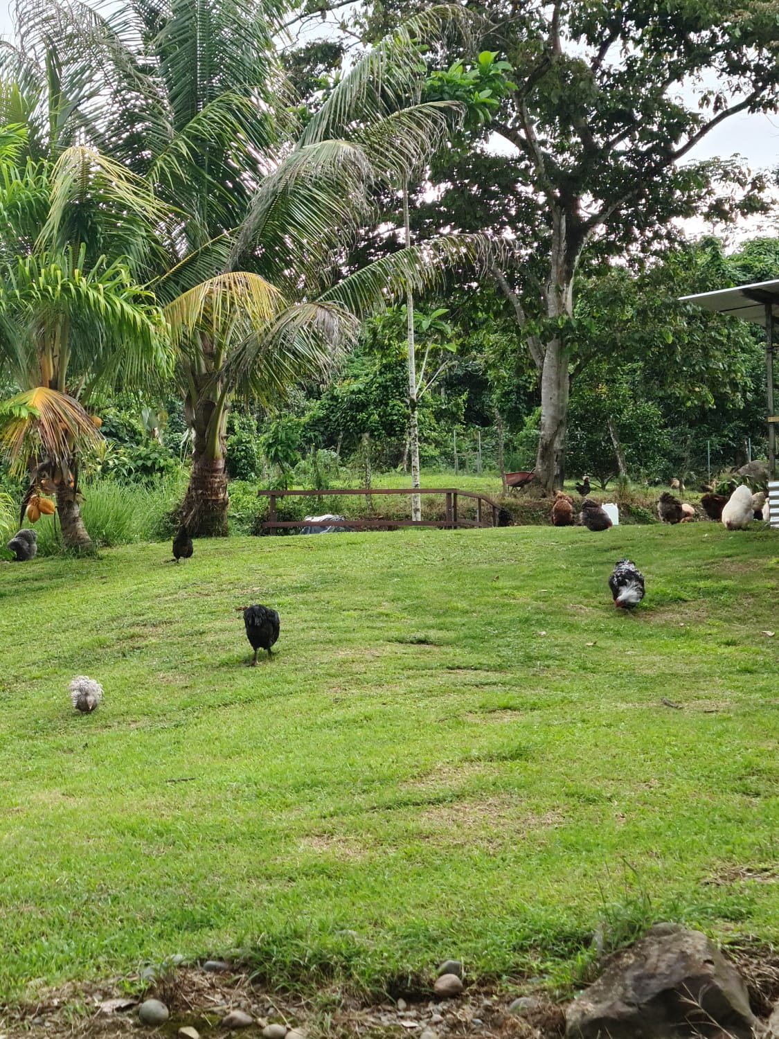 Finca Río General in Santa Luisa