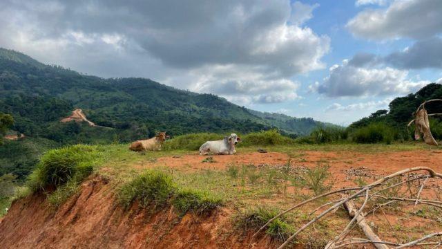 Riverfront Ranch Above Uvita With Waterfalls, and Ocean Views