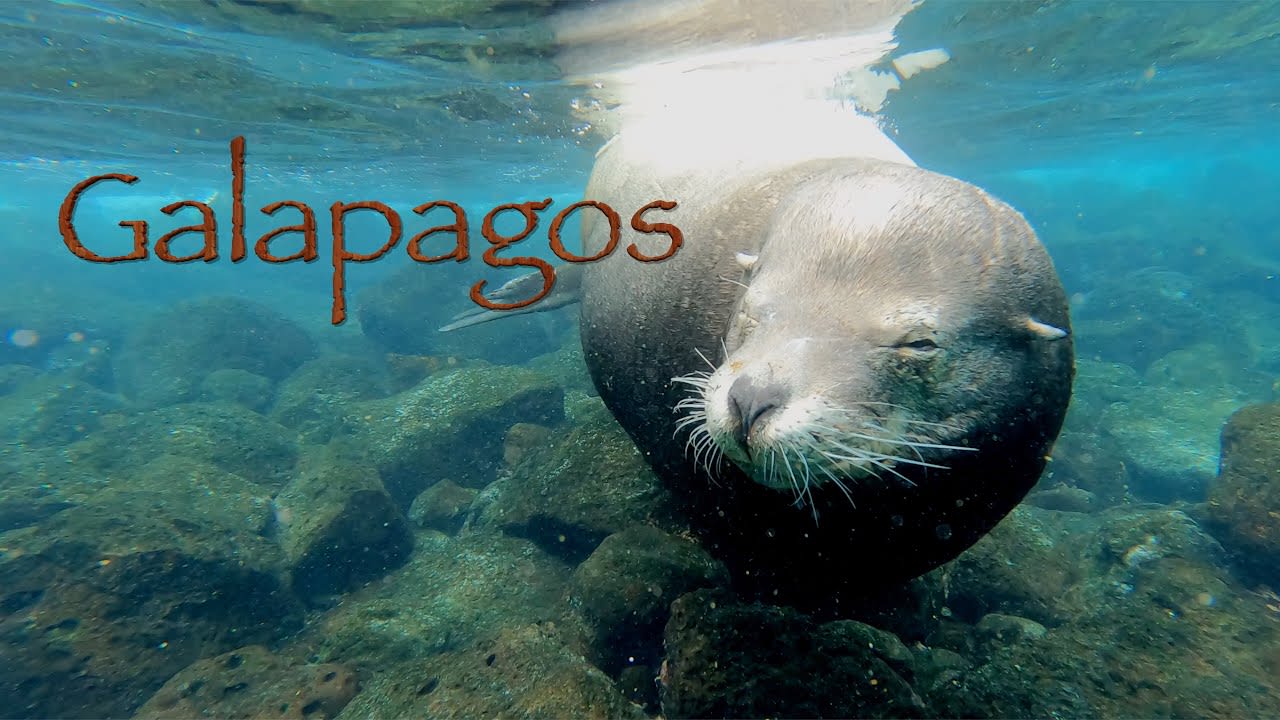 Adventure is Calling - Galapagos