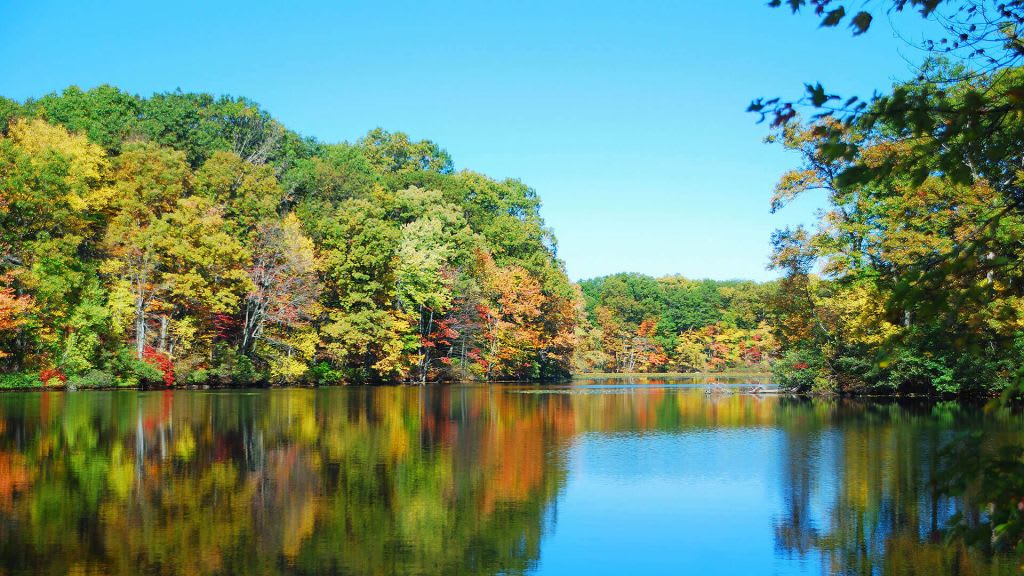 river in riverside area of greenwich, ct with fall colors on full display