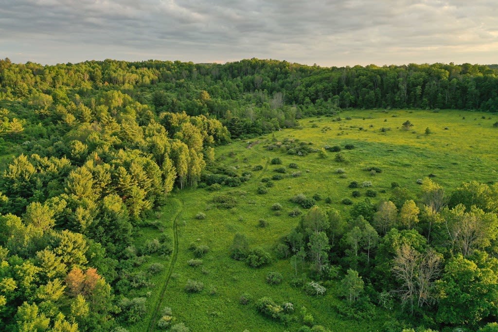 Mountain Valley Realty, Inc. Wellsboro Real Estate Agent