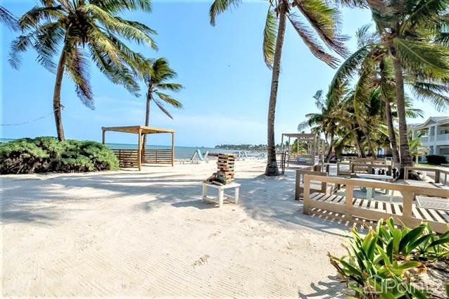 The Tropical Paradise Reef House at Alaia Belize - A Marriott Autograph Collection®