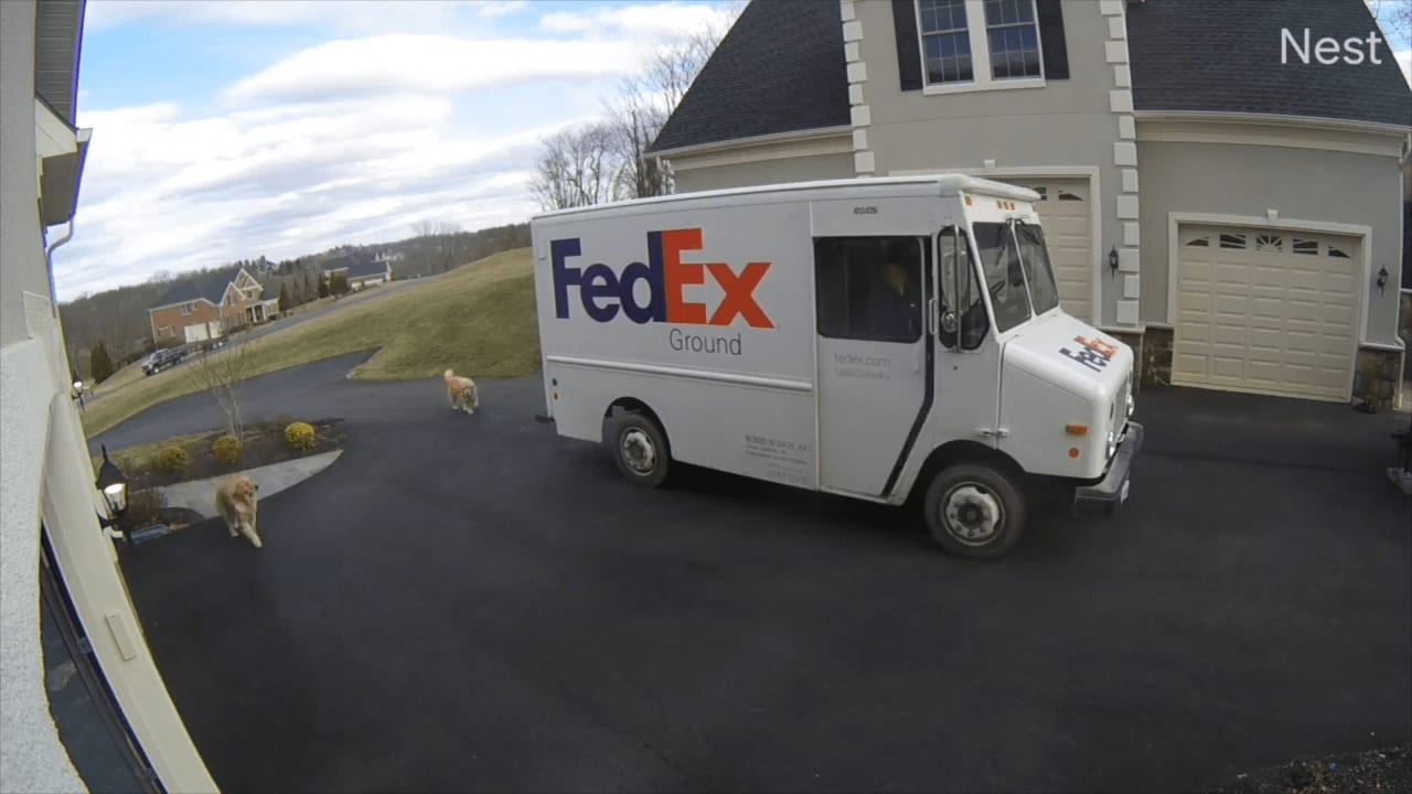 Eddie and Boomer Love FedEx