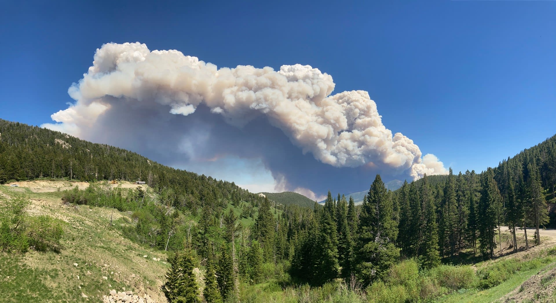 Managing Wildfire Risk in Big Sky Callie Pecunies