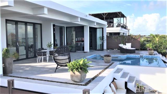 Modern Luxury Single-family Waterfront 2 Bed 2.5 Bath Home With Infinity Pool