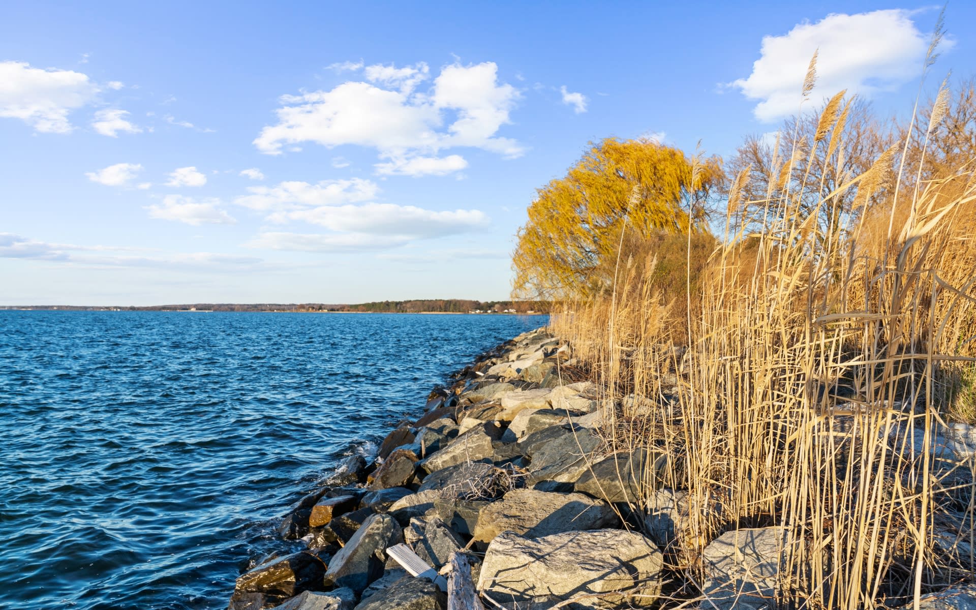 Saint Margaret Island David DeSantis