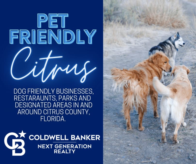 Fido Friendly Citrus County