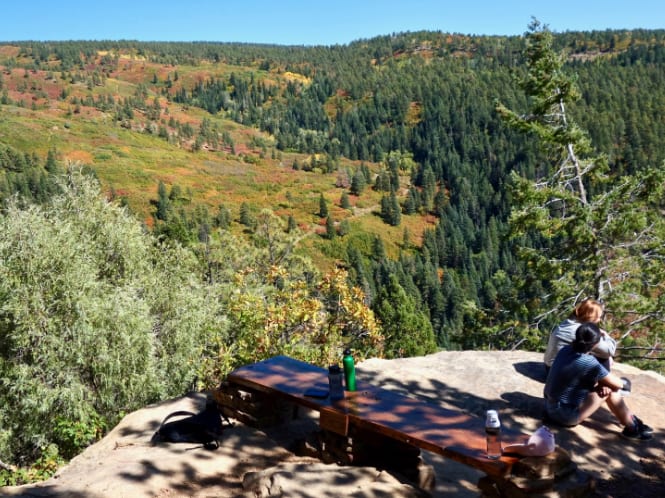 Durango's Outdoor Adventures: Embracing Nature's Playground in the Southwest